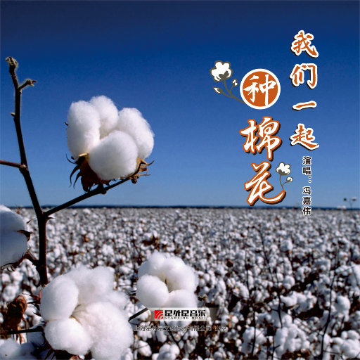 美女黑丝色色网站
